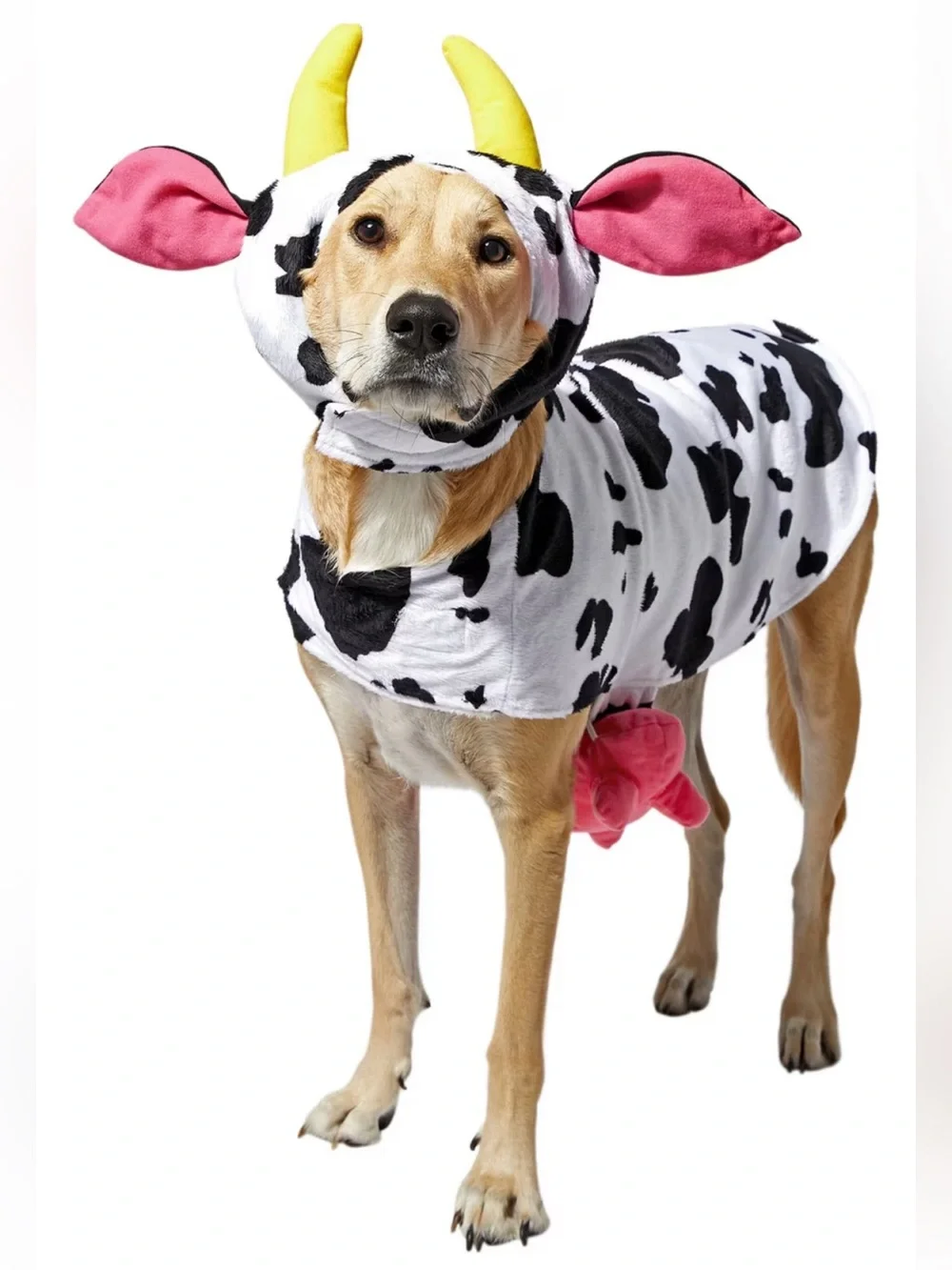 Cow Halloween costume for dog XXL